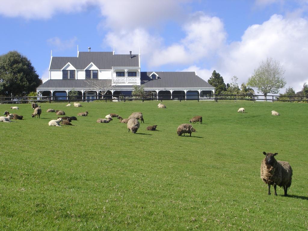 Country Homestead At Black Sheep Farm Waipu Exterior foto
