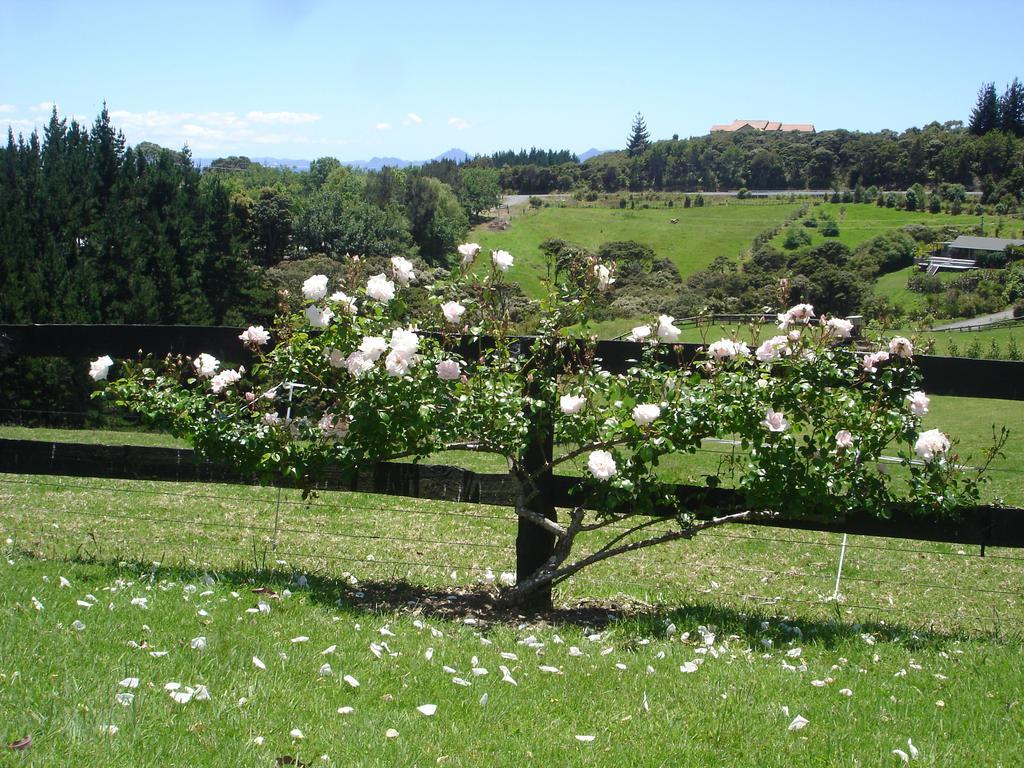 Country Homestead At Black Sheep Farm Waipu Exterior foto
